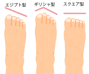 3種類の足のタイプ